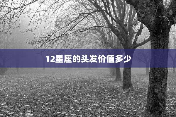 12星座的头发价值多少