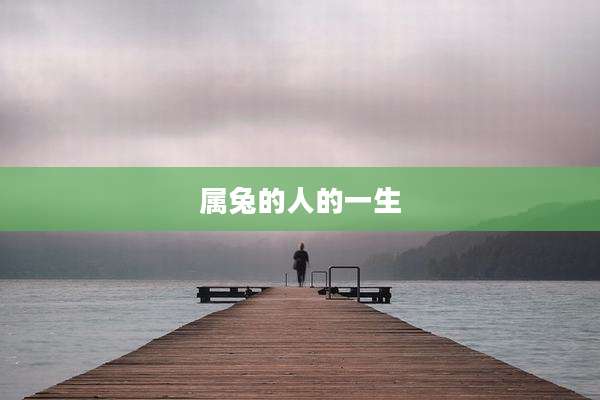 属兔的人的一生