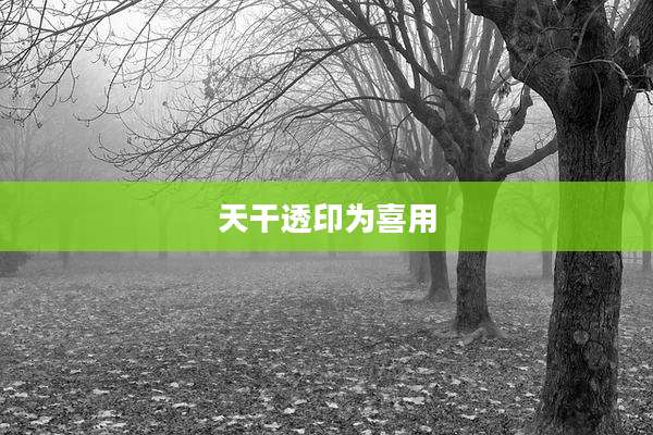 天干透印为喜用