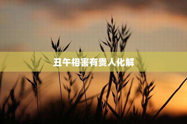 丑午相害有贵人化解