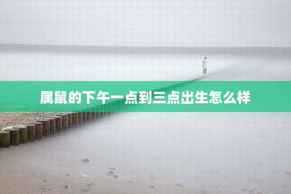 属鼠的下午一点到三点出生怎么样