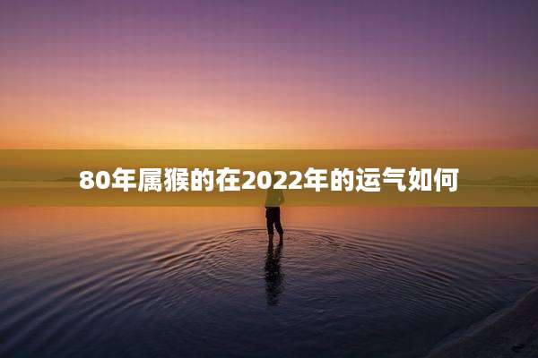 80年属猴的在2022年的运气如何