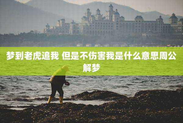 梦到老虎追我 但是不伤害我是什么意思周公解梦