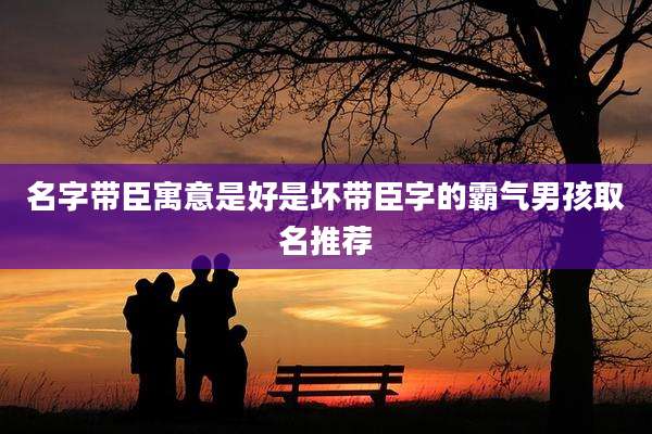 名字带臣寓意是好是坏带臣字的霸气男孩取名推荐