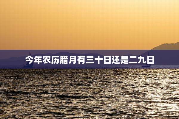 今年农历腊月有三十日还是二九日