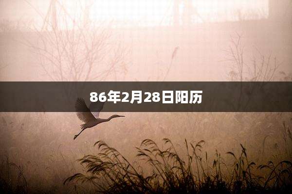 86年2月28日阳历