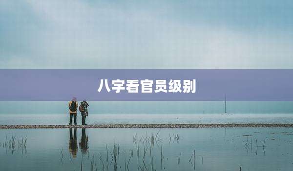 八字看官员级别