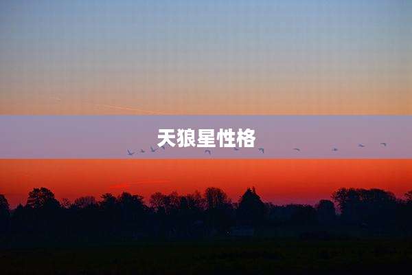 天狼星性格