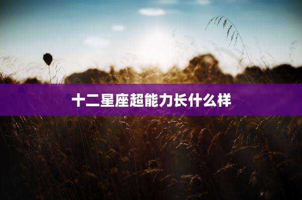 十二星座超能力长什么样