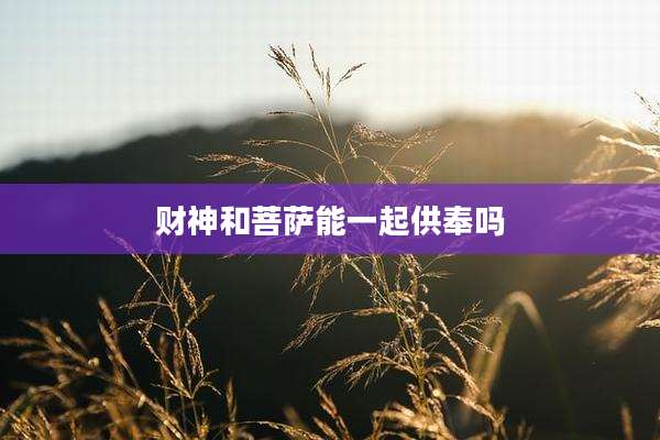 财神和菩萨能一起供奉吗