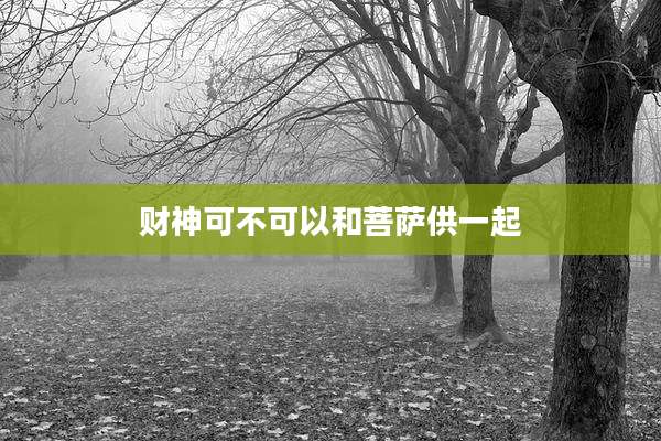 财神可不可以和菩萨供一起