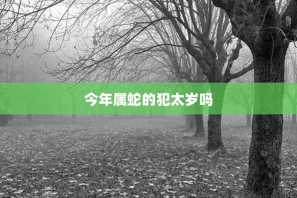 今年属蛇的犯太岁吗