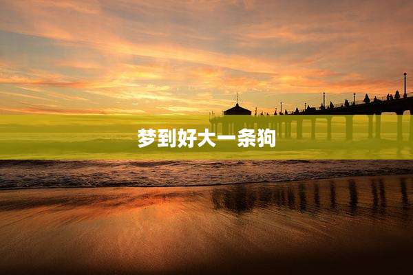 梦到好大一条狗