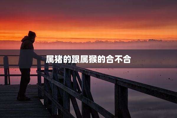 属猪的跟属猴的合不合