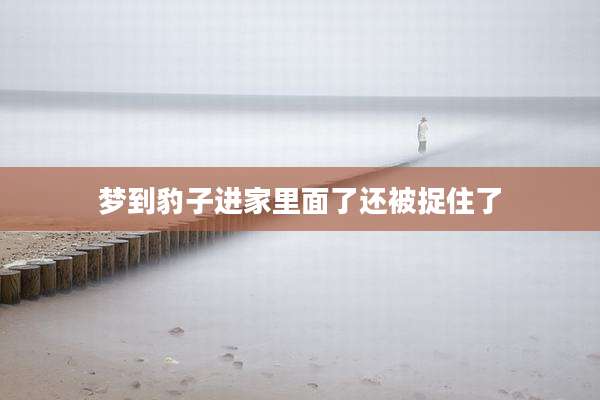 梦到豹子进家里面了还被捉住了