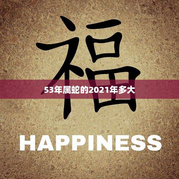 53年属蛇的2021年多大