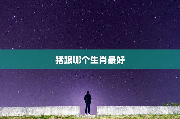猪跟哪个生肖最好