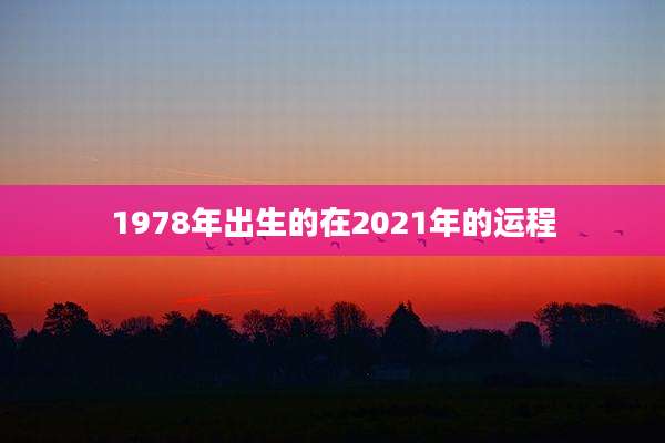 1978年出生的在2021年的运程