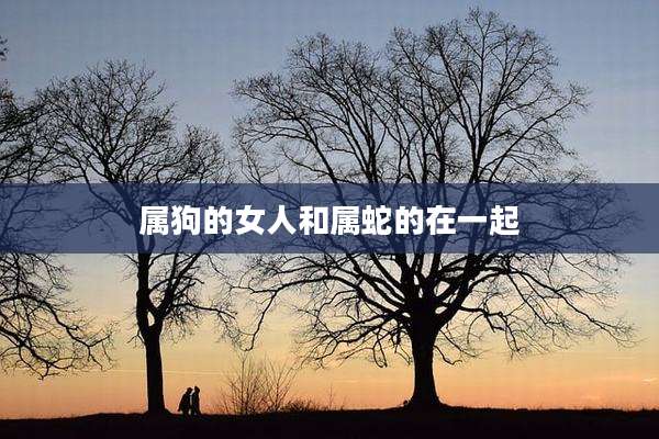 属狗的女人和属蛇的在一起