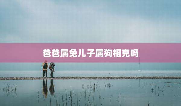 爸爸属兔儿子属狗相克吗
