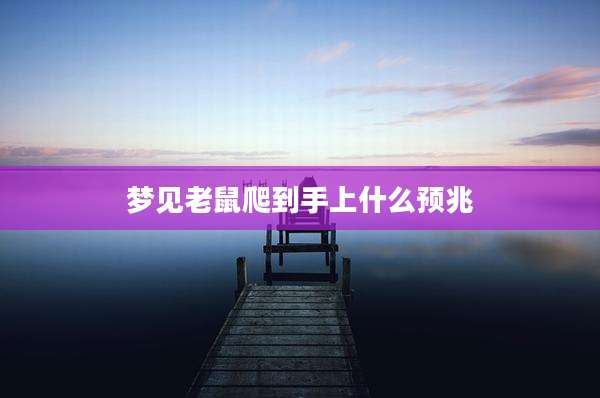 梦见老鼠爬到手上什么预兆