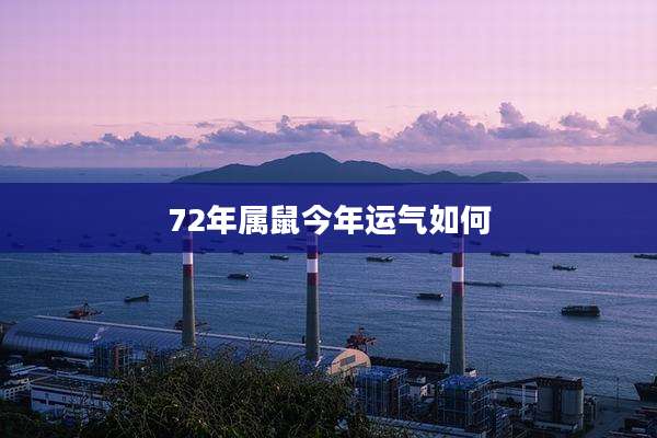 72年属鼠今年运气如何