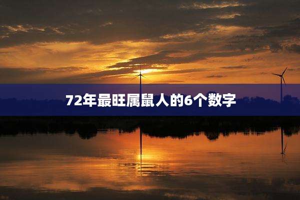 72年最旺属鼠人的6个数字