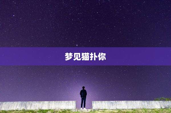 梦见猫扑你