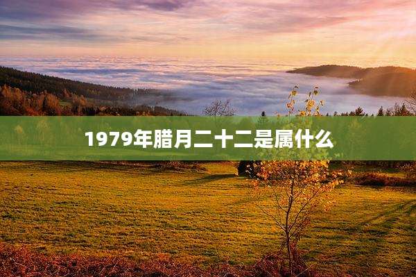 1979年腊月二十二是属什么