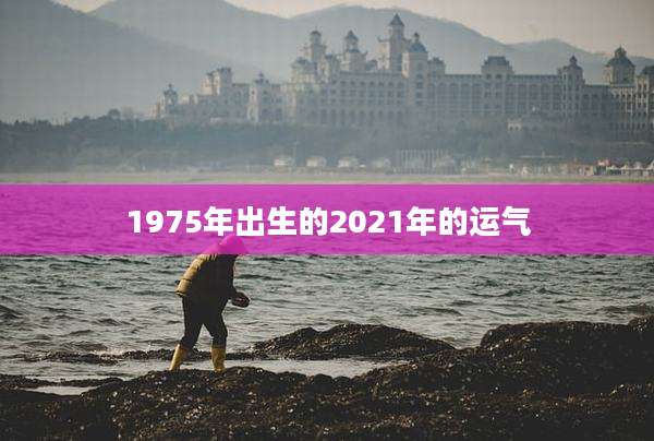 1975年出生的2021年的运气