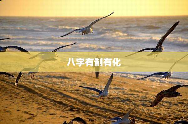 八字有制有化