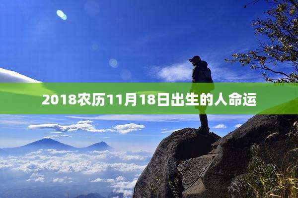 2018农历11月18日出生的人命运