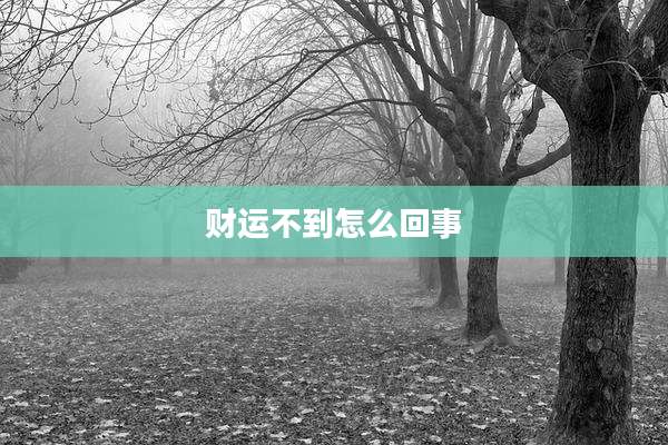 财运不到怎么回事