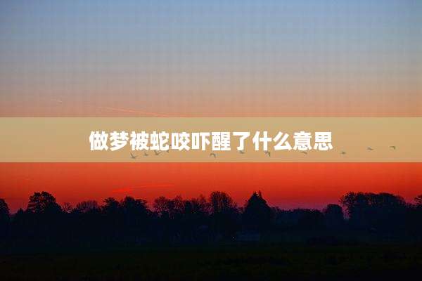 做梦被蛇咬吓醒了什么意思