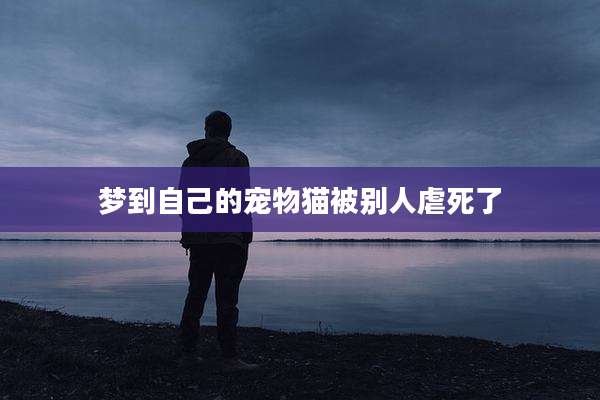 梦到自己的宠物猫被别人虐死了