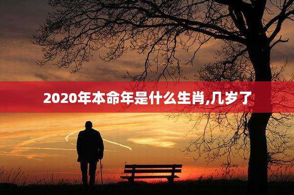 2020年本命年是什么生肖,几岁了