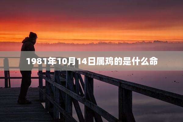1981年10月14日属鸡的是什么命