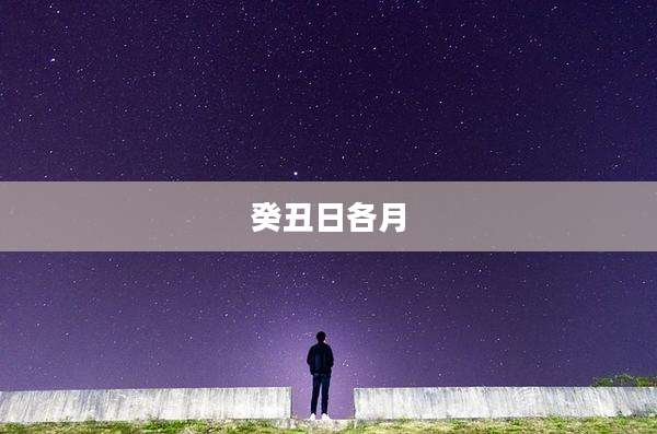 癸丑日各月