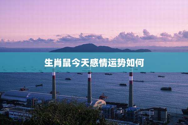 生肖鼠今天感情运势如何