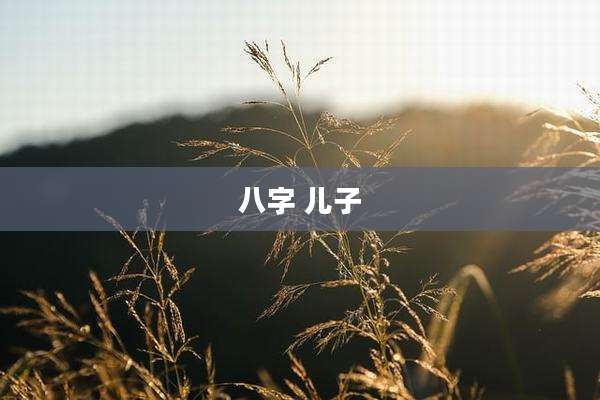 八字 儿子