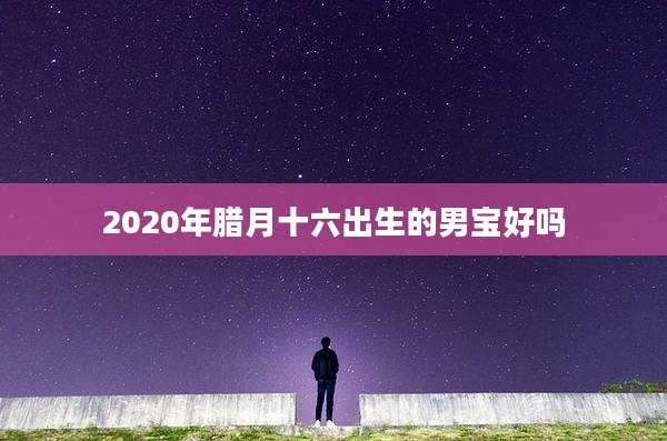 2020年腊月十六出生的男宝好吗