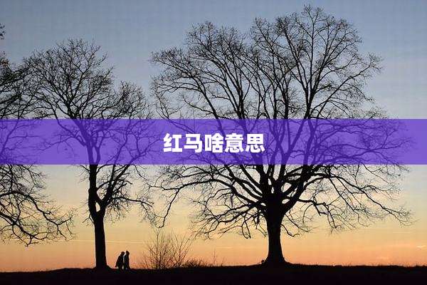 红马啥意思