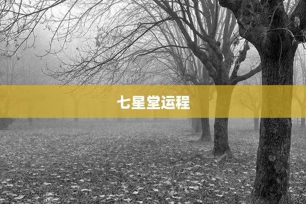七星堂运程