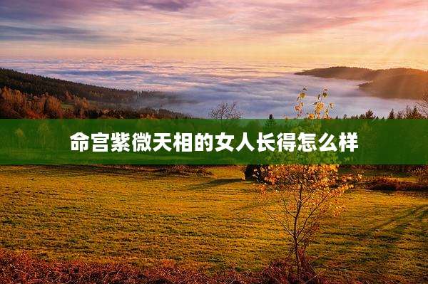 命宫紫微天相的女人长得怎么样