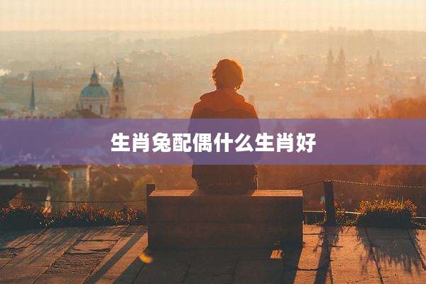 生肖兔配偶什么生肖好
