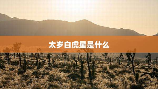 太岁白虎星是什么