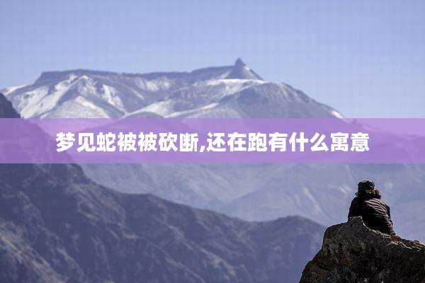 梦见蛇被被砍断,还在跑有什么寓意