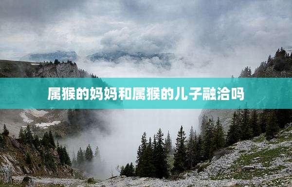 属猴的妈妈和属猴的儿子融洽吗