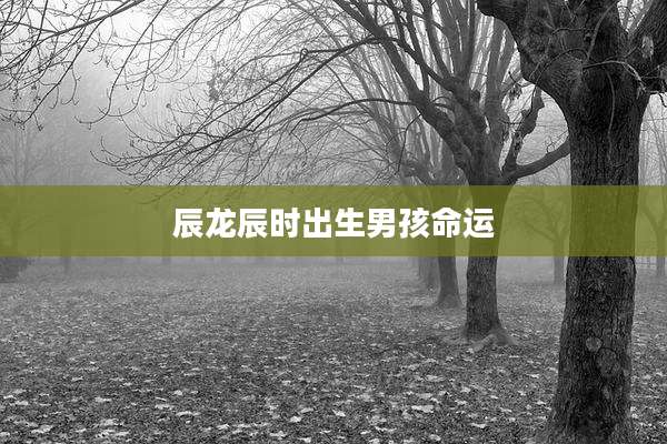 辰龙辰时出生男孩命运