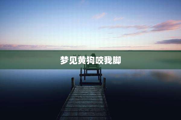 梦见黄狗咬我脚